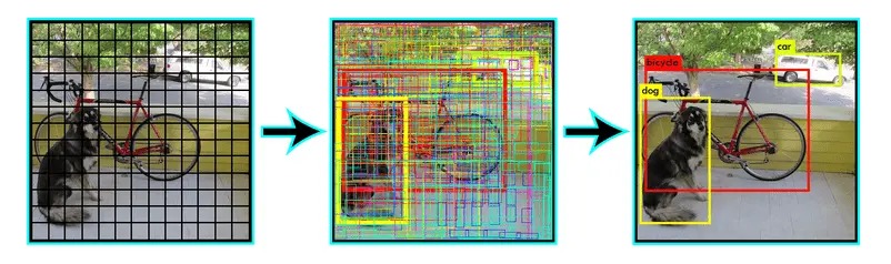 YOLO Image Processing Steps Visualization